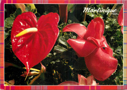 MARTINIQUE ANTHURIUMS - Sonstige & Ohne Zuordnung