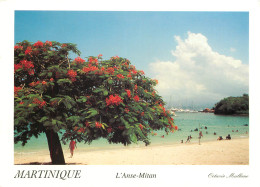 MARTINIQUE ANSE MITAN - Other & Unclassified