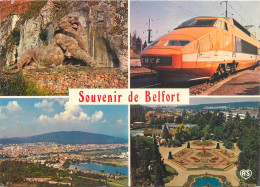 90 BELFORT MULTIVUES - Belfort - Ville