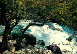 84 FONTAINE DE VAUCLUSE - Otros & Sin Clasificación