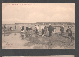 DONVILLE LA PLAGE A MAREE BASSE     F262 - Autres & Non Classés