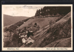 AK Wildemann /Harz, Blick Auf Den Zick-Zack-Weg  - Wildemann