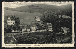 AK Wildemann /Harz, Spiegelthal, Ortspartie  - Wildemann
