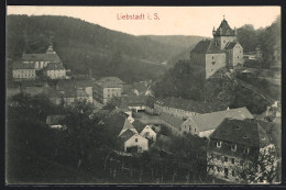 AK Liebstadt I. S., Ortsansicht Mit Schloss  - Liebstadt