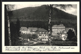 AK Bad Wildungen, Homberg Mit Sanatorium, Blick Vom Kaffee-Restaurant Am Schwanenteich  - Homberg