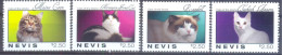 NEVIS (FKH005) XC - Domestic Cats