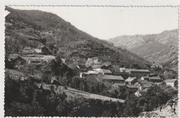 ST-VINCENT--d'ORGUES (34) Le Mas Du Gua - 9x14 Dentelée Glacée - Photo-carte ( Photo FARENQ à St-Pons) N°105 - Autres & Non Classés