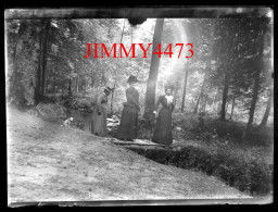 Trois Femmes Et Un Bébé, Dans Un Bois à Identifier - Plaque De Verre En Négatif - Taille 89 X 119 Mlls - Plaques De Verre