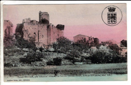 33 - Rauzan Ruines De L Ancien Chateau - Cartes Postales Ancienne - Autres & Non Classés