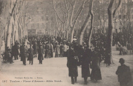 83 / TOULON / PLACE D ARMES / ALLEE NORD / BAR 197 - Toulon