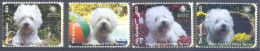 GAMBIA   (FKH065) XC - Chiens