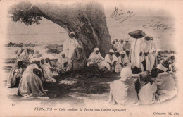 CPA - FERNANA - CaÏd Rendant La Justice Sous L'Arbre Légendaire - Edition ND.Photo (cliché Avt 1900) - Tunisie