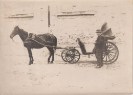 PHOTO CHEVAL AVEC ATTELAGE ET HOMME  - - Other & Unclassified