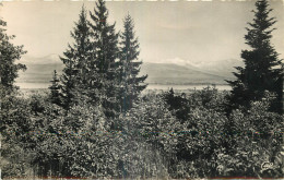 01 - DIVONNE LES BAINS - VUE SUR LE MONT BLANC - Divonne Les Bains