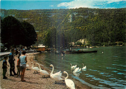 01 -  NANTUA - BORDS DU LAC - Nantua