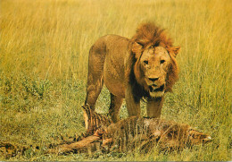 East Africa Kenya Wildlfie Lion Hunting Minerals Nice Franking Stamps - Löwen