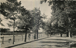 03 - VICHY -  BORDS DE L'ALLIER - Vichy