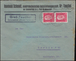 Landpost Groß-Tauchel Sommerfeld Niederlausitz Land, Brief SOMMERFELD ND-LAUSITZ 20.12.29 - Covers & Documents