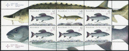HBl. 49 Fische Als Zusammendruck UNGEFALTET Mit 6 Marken, ** Postfrisch - Zusammendrucke