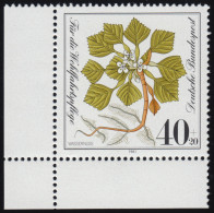 1108 Wohlfahrt Wassernuss 40+20 Pf ** Ecke U.l. - Unused Stamps