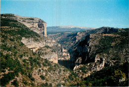 04 - GORGES DU VERDON - Autres & Non Classés