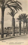 06 -  CANNES  - ALLEE DES PALMIERS - BOULEVARD DE LA CROISETTE - Cannes