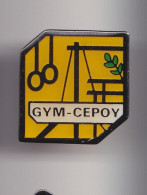 Pin's Gym Cepoy Dpt 45   Réf 7451JL - Gymnastik