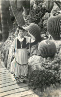 JARDIN EXOTIQUE DE MONACO - ECHINOCACTUS GRUSONII - Other & Unclassified