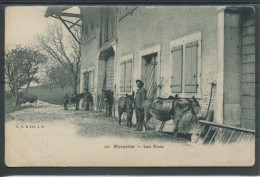 10260 Monnetier - Les Anes - Ferme Avec Paysan Et ânes - Autres & Non Classés