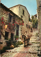 06 - EZE  - Eze