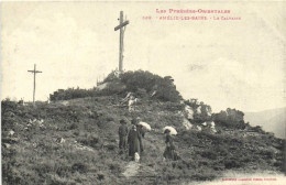 Les Pyrénées Orientales AMELIE LES BAINS  Le Calvaire Animée Labouche RV - Amélie-les-Bains-Palalda