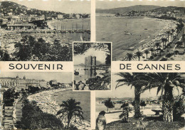 06 - SOUVENIR DE CANNES - Cannes