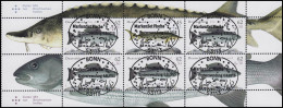 HBl. 49 Fische Als Zusammendruck UNGEFALTET Zentrische EV-O Bonn 6.8.15 - Zusammendrucke