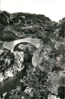 07 - THUEYETS - L'ARDECHE AU PONT DU DIABLE - Autres & Non Classés