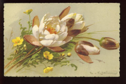 ILLUSTRATEURS - KLEIN - FLEURS - N° 1261 - Klein, Catharina