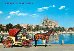 Spain Palma De Mallorca La Lonja Y Catedral - Palma De Mallorca