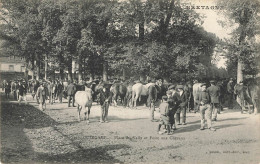 E782 Guingamp Place Du Vally Et Foire Aux Chevaux - Guingamp