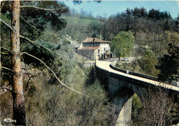 07 - VERNOUX EN VIVARAIS - LE PONT DU BELEY - Other & Unclassified