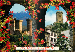 09 - UN BONJOUR DE FOIX  - Foix