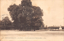 77-FONTAINEBLEAU LA FORET-N°T5206-A/0349 - Fontainebleau