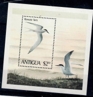 ANTIGUA 1980 BIRDS MI No BLOCK 51 MNH VF!! - Sonstige & Ohne Zuordnung