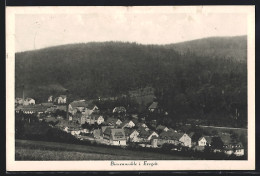 AK Bienenmühle I. Erzgeb., Teilansicht  - Other & Unclassified
