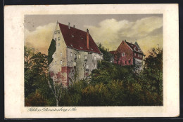 AK Oberreinsberg I. Sa., Schloss  - Autres & Non Classés