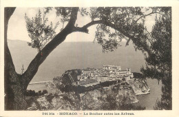 06 -  MONACO -  LE ROCHER ENTRE LES ARBRES - Other & Unclassified