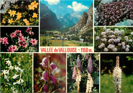 05 - VALLEE DE VALLOUISE - Autres & Non Classés