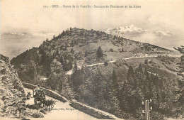 01 - GEX - ROUTE DE LA  FAUCILLE - Gex