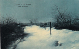 DE PANNE - LA PANNE - L'hiver A La Panne - Dans Les Dunes - De Panne