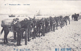 WENDUYNE Sur MER - Les Anes - Wenduine