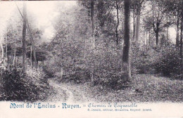 RUYEN - Mont De L'enclus - CHEMIN DE COQUERELLE - Mont-de-l'Enclus