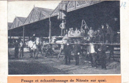 Ecole De Bienfaisance De L'état A SAINT HUBERT - Pesage Et Echantillonage De Nitrate Sur Quai - Saint-Hubert